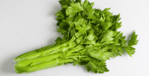 Pravi Celer – The True Celery for Better Health