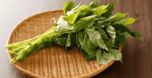 Çeiri Review: Is It Worth Your Attention?