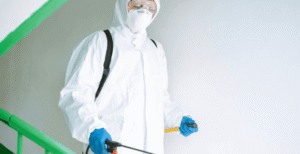 Everything You Need to Know About Asbestlint