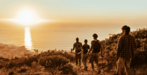 Kamiswisfap – Everything You Need to Know