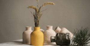 What Is Dinvoevoz? Complete Explanation & Meaning