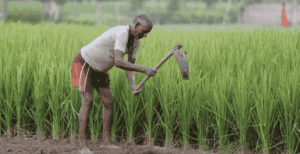 iKhedut Portal 2025: Step-by-Step Registration Process