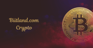 Biitland.com Crypto Explained – Key Details & Insights