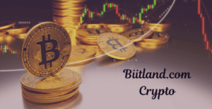 Biitland.com Crypto Explained – Key Details & Insights