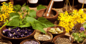 Đeman Explained – Key Facts & Insights