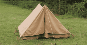 Everything You Need to Know About Tarnplanen