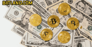 Is Biitland.com Worth Using? Full Analysis