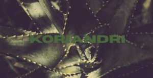 Koriandri – Complete Overview & Meaning