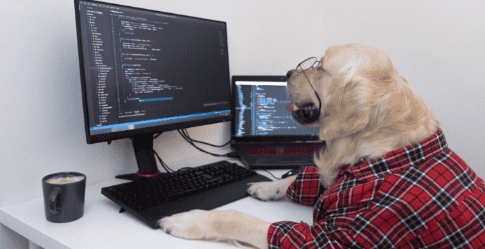 Doge Software Licenses Audit HUD – Key Findings, Risks & Best Practices