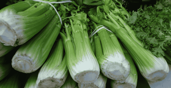Pravi Celer – The True Celery for Better Health