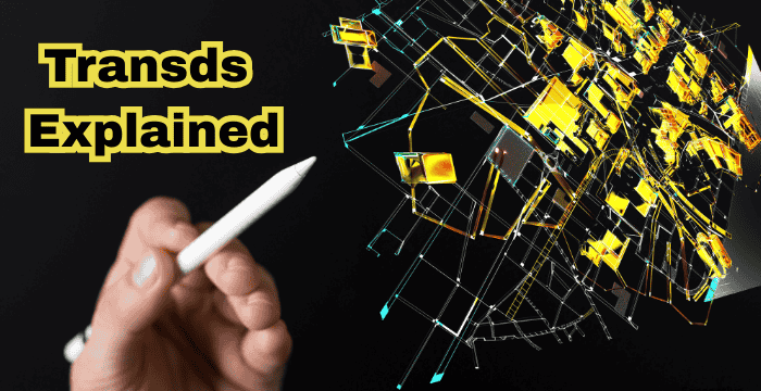 Transds Explained – Full Guide & Details