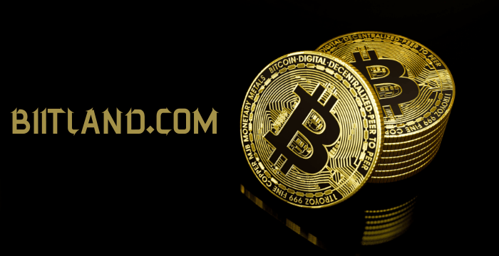 Is Biitland.com Worth Using? Full Analysis